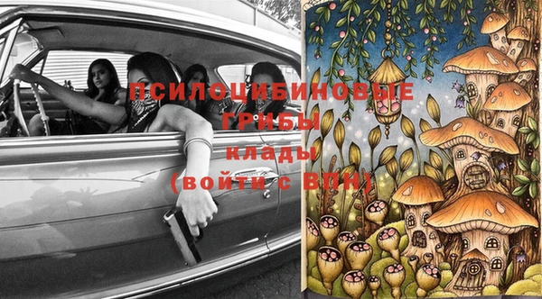 2c-b Михайлов